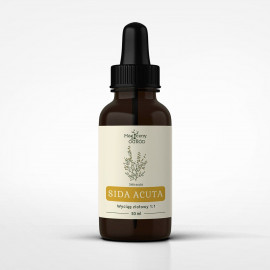 Sida acuta Tinktur 1:1 - *250ml*