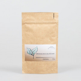 Usnea - Bart - 50g gemahlen