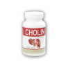 Cholin 100 Kapseln